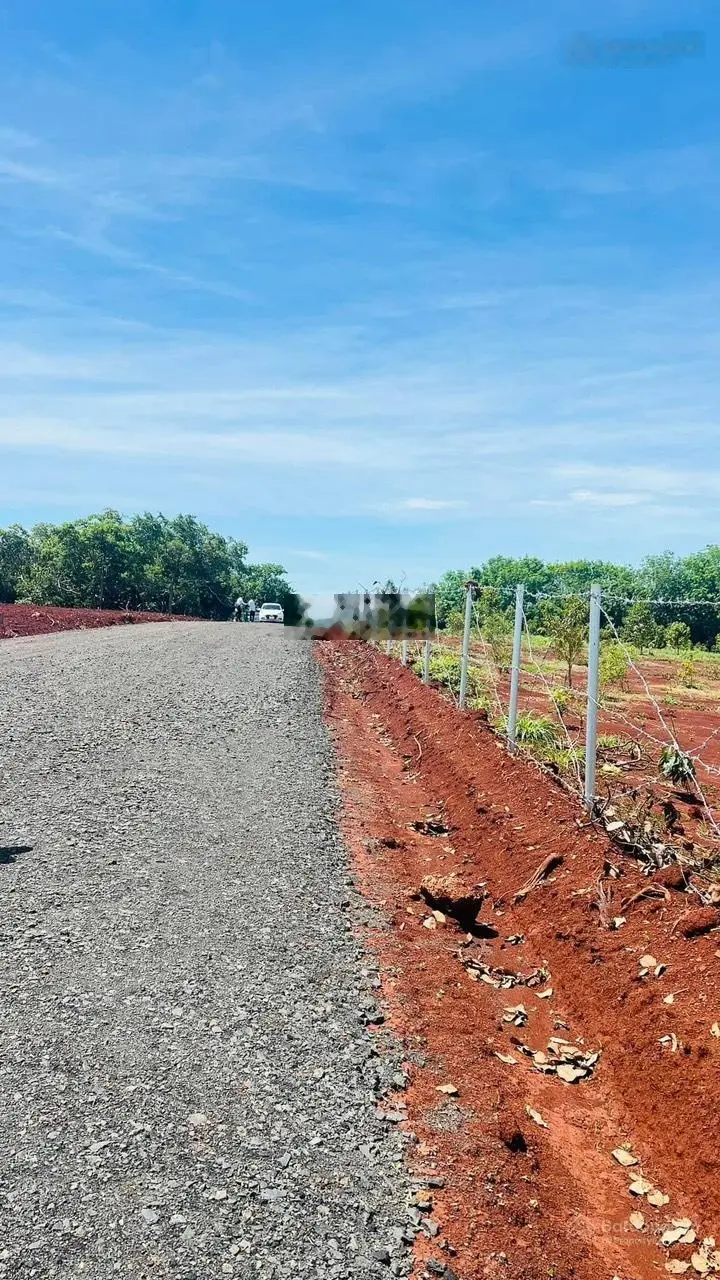 Bán gấp lô đất Đồng Phú, Bình Phước gần KCN Bắc Đồng Phú B - hơn 1000m2 - giá thanh toán 179 triệu