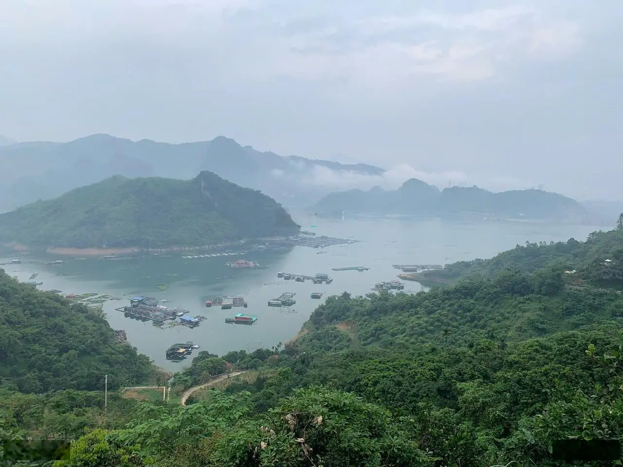 Siêu phẩm 1700m2 đất ở đô thị 240m2 còn lại là đất vườn trồng cây lâu năm tại Thái Bình, Hòa Bình