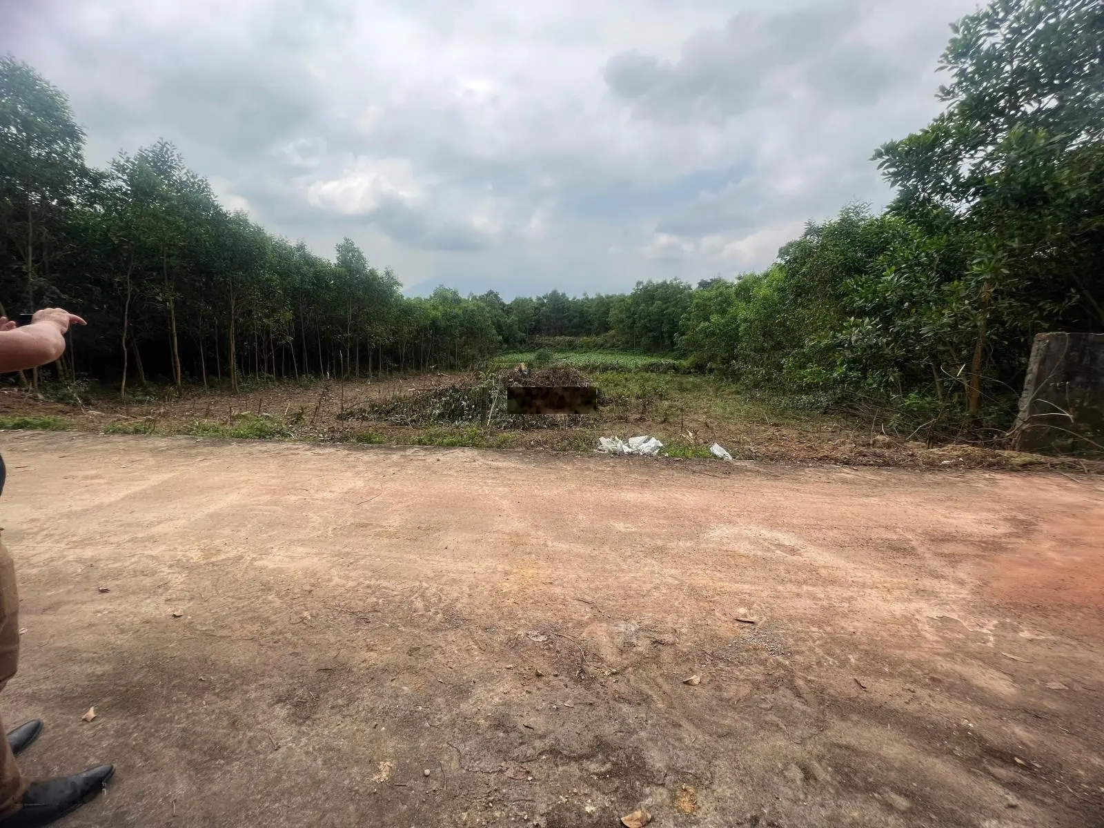 900m2 có 180m2 đất ở giá 4.5 tỷ đường 5m cách DT 602, ủy ban xã Hòa Ninh chỉ 200m