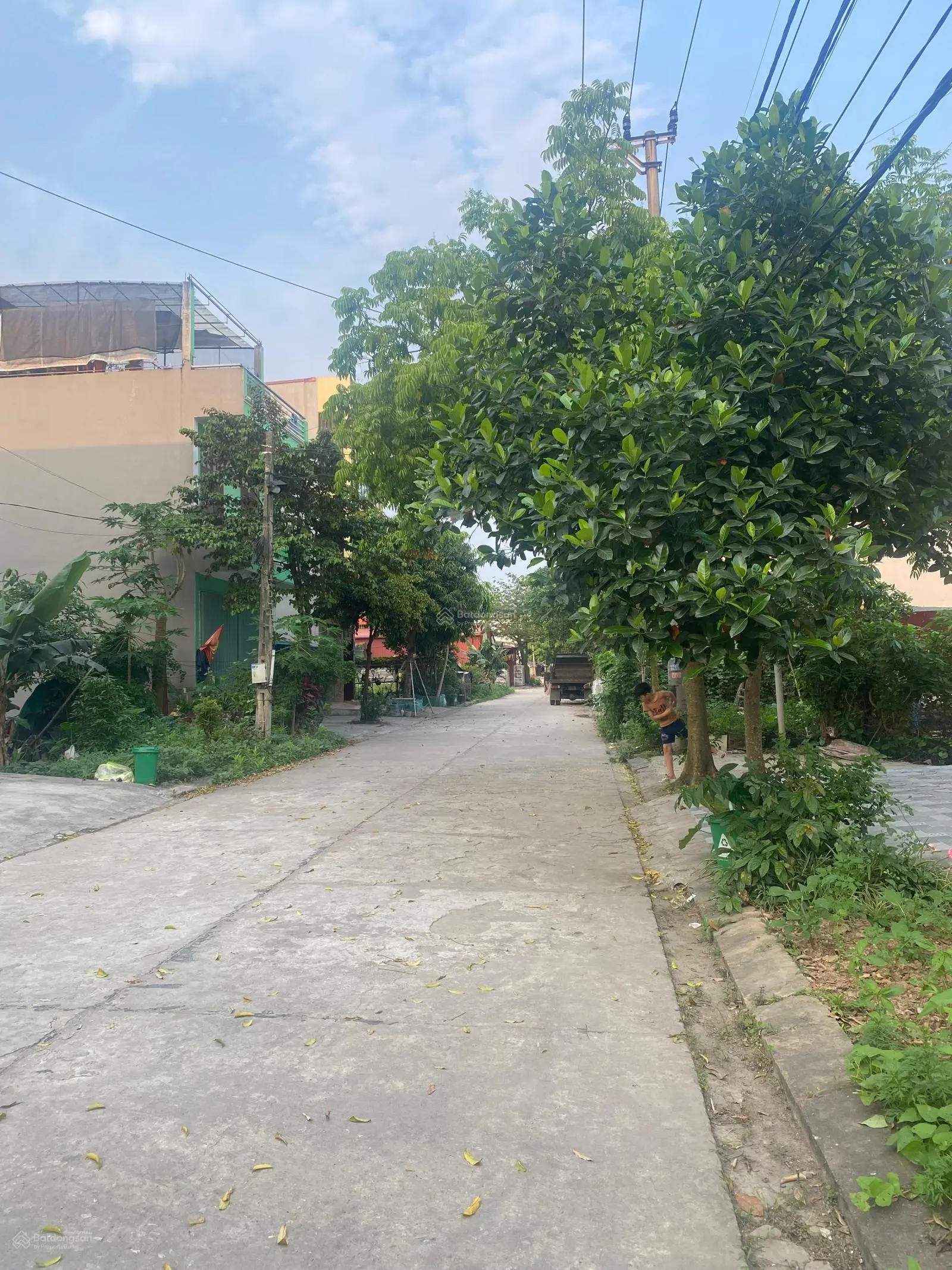 Bán đất tại ngõ 171 Lê Thái Tổ, Ninh Bình. Diện tích 92,5m2