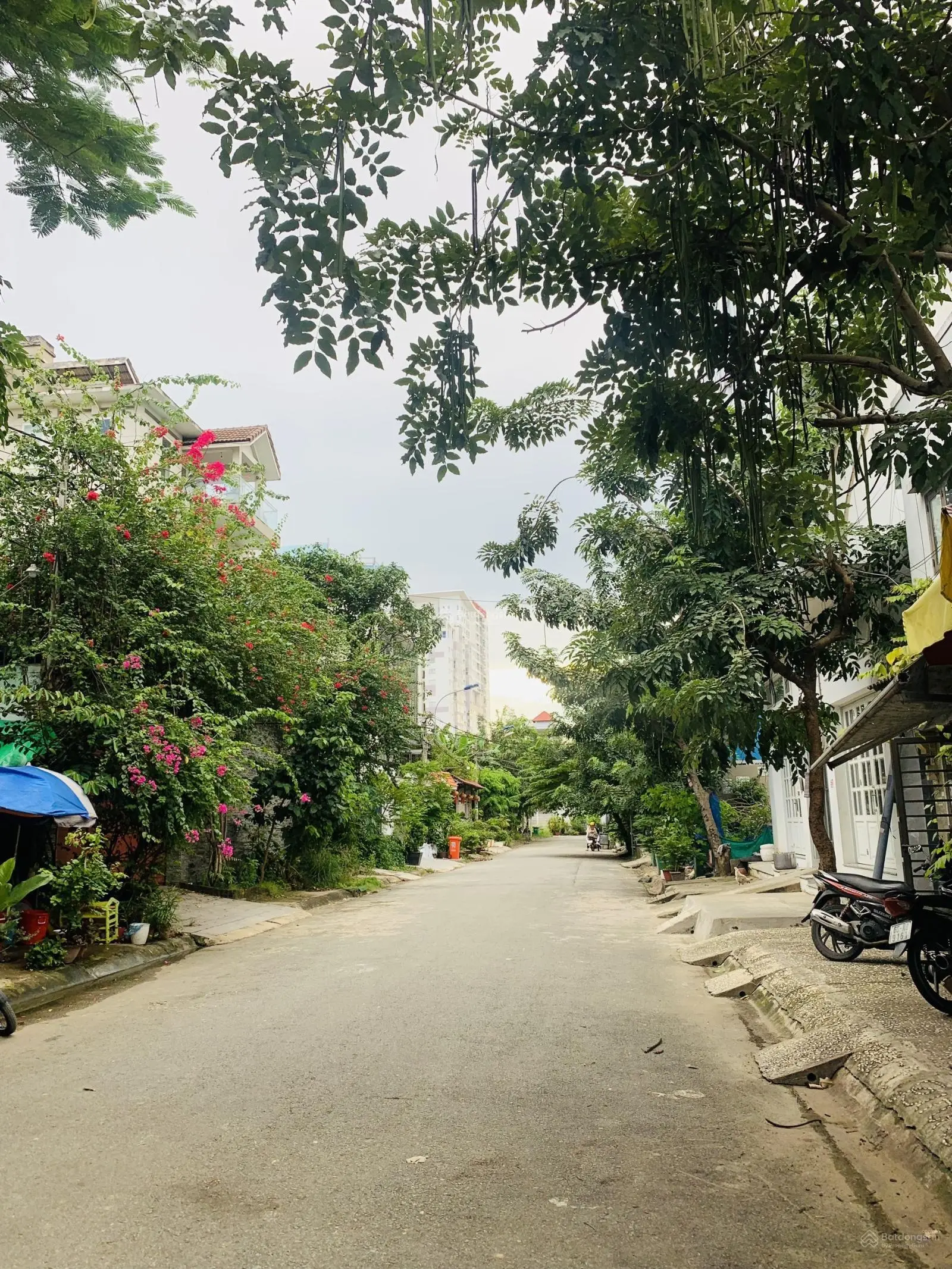Bán nền đất BT KDC Làng Đại Học ABC Nguyễn Hữu Thọ, DT 300m2 sổ hồng riêng XD tự do, ngộp 59tr TL