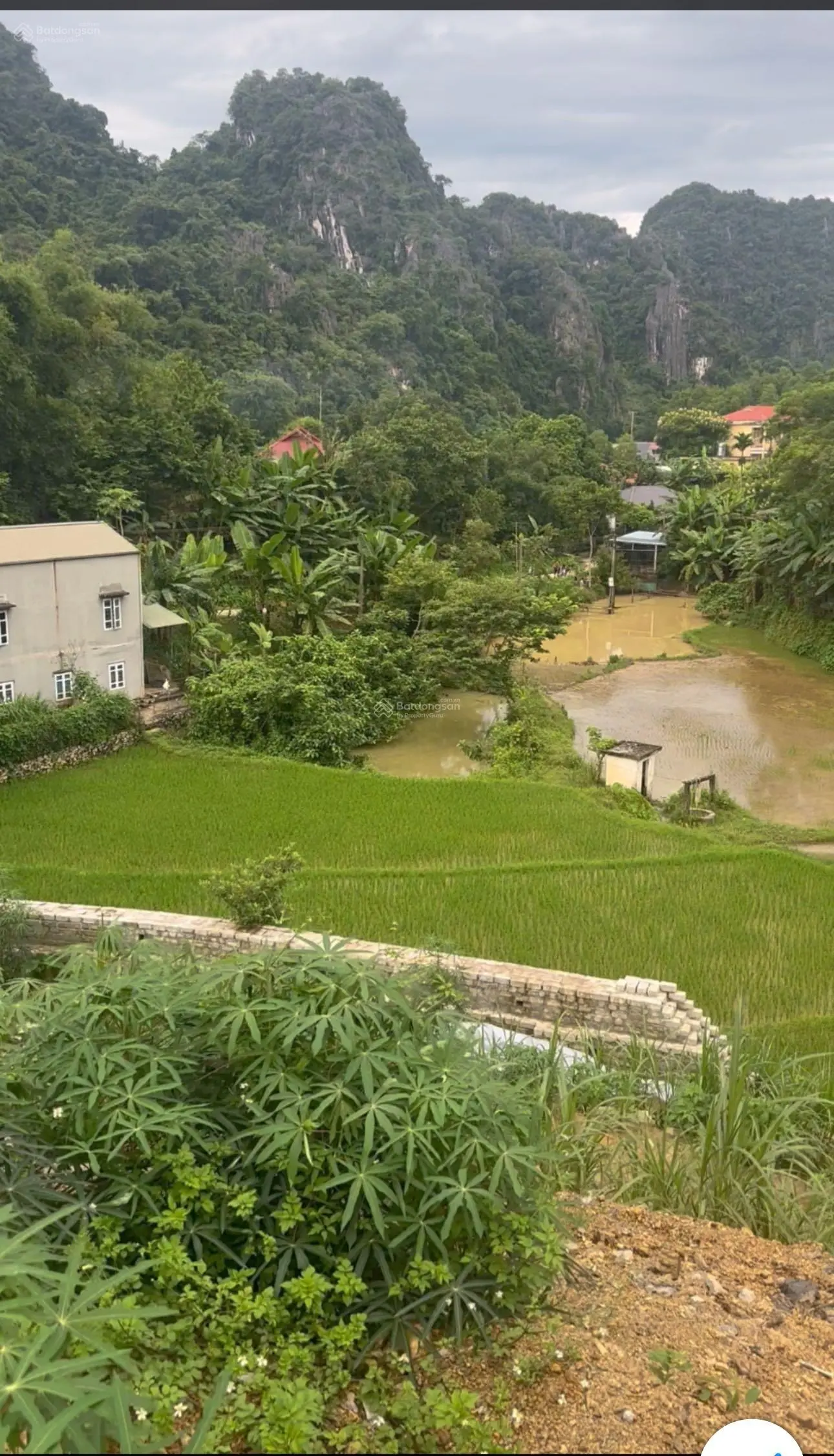 Bán đất Ngòi Hoa, Tân Lạc, Hoà Bình