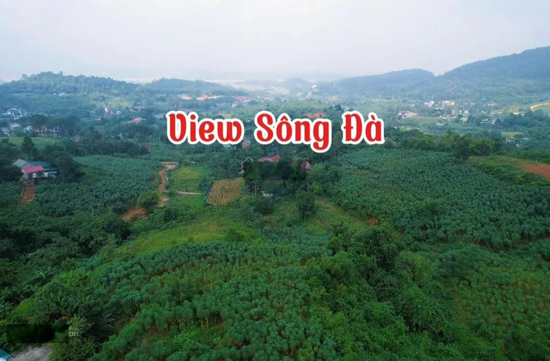 Tuyệt Phẩm Đẹp Nhất Khu như Tam Đảo thứ2.Cam kết ko có Lô Đẹp thứ2 tặng ngay lô Đất.Lh:0903 455 ***