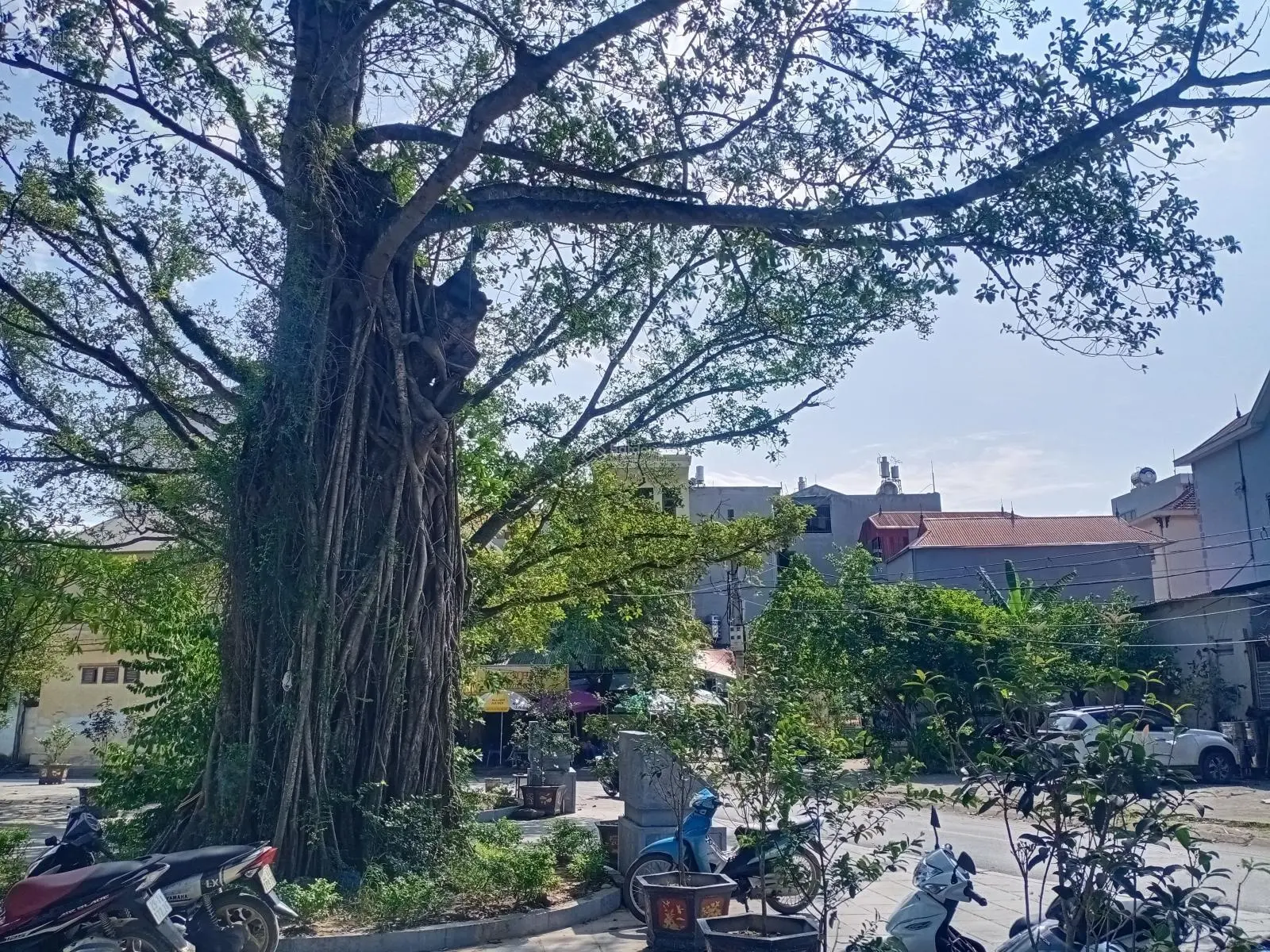 Vân Canh - Đất dịch vụ 95.4m2 ô tô tránh, xây tòa vp, CHDV lí tưởng, giá chỉ 14 tỷ