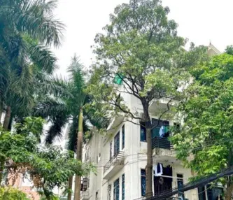 Bán nhà mặt phố, lô góc 3 thoáng, Cầu Giấy, sát Starlake Tây Hồ, ở & cafe, 65m2 - MT 25m, gần 26 tỷ