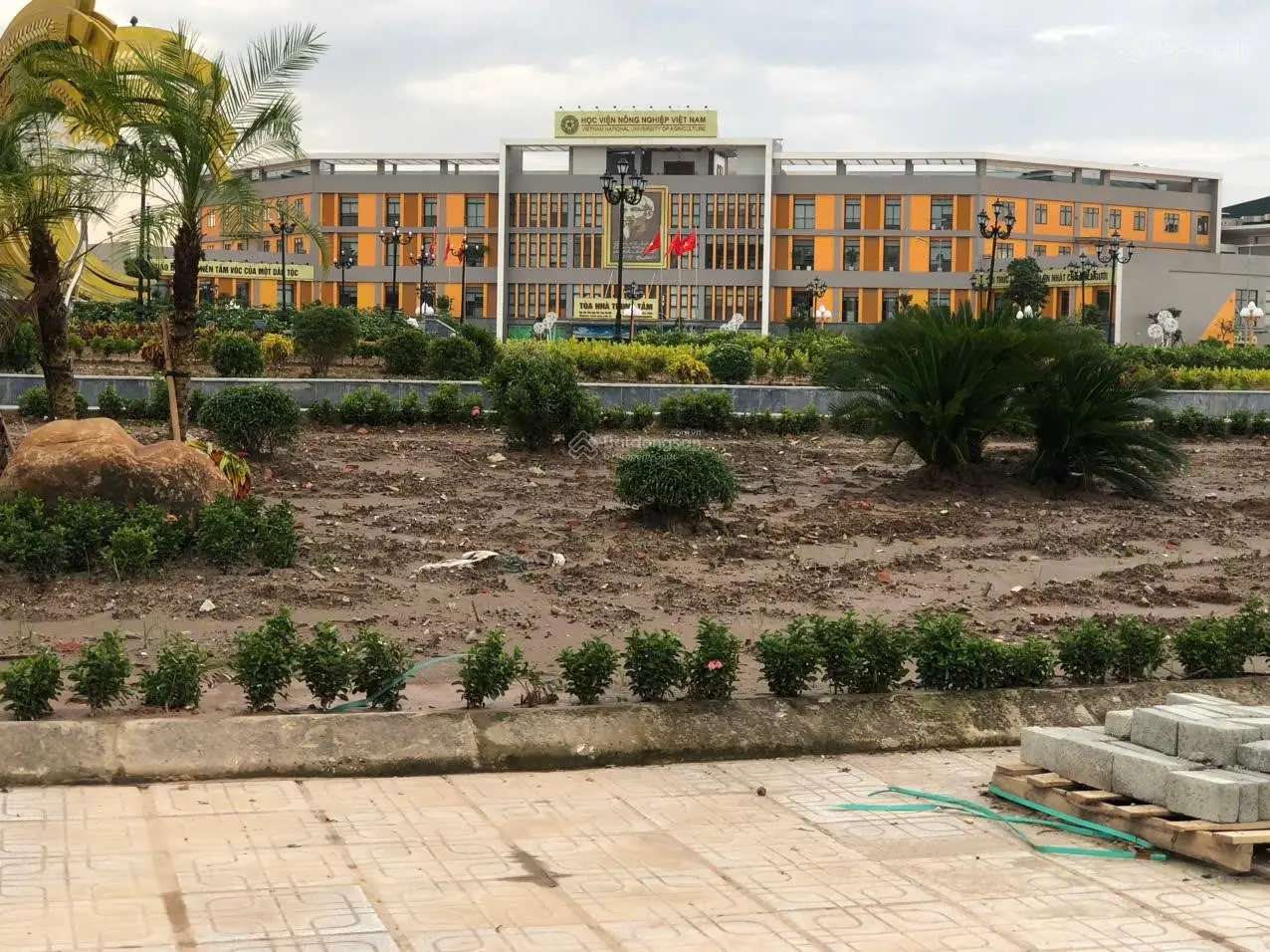 Bán đất 4,7tỷ Đường Cửu Việt Gia Lâm, Hà Nội ÔTÔ ĐỖ CỬA VÀO ĐẤT LH0988 009 *** XEM VÀ CỌC MUA NGAY