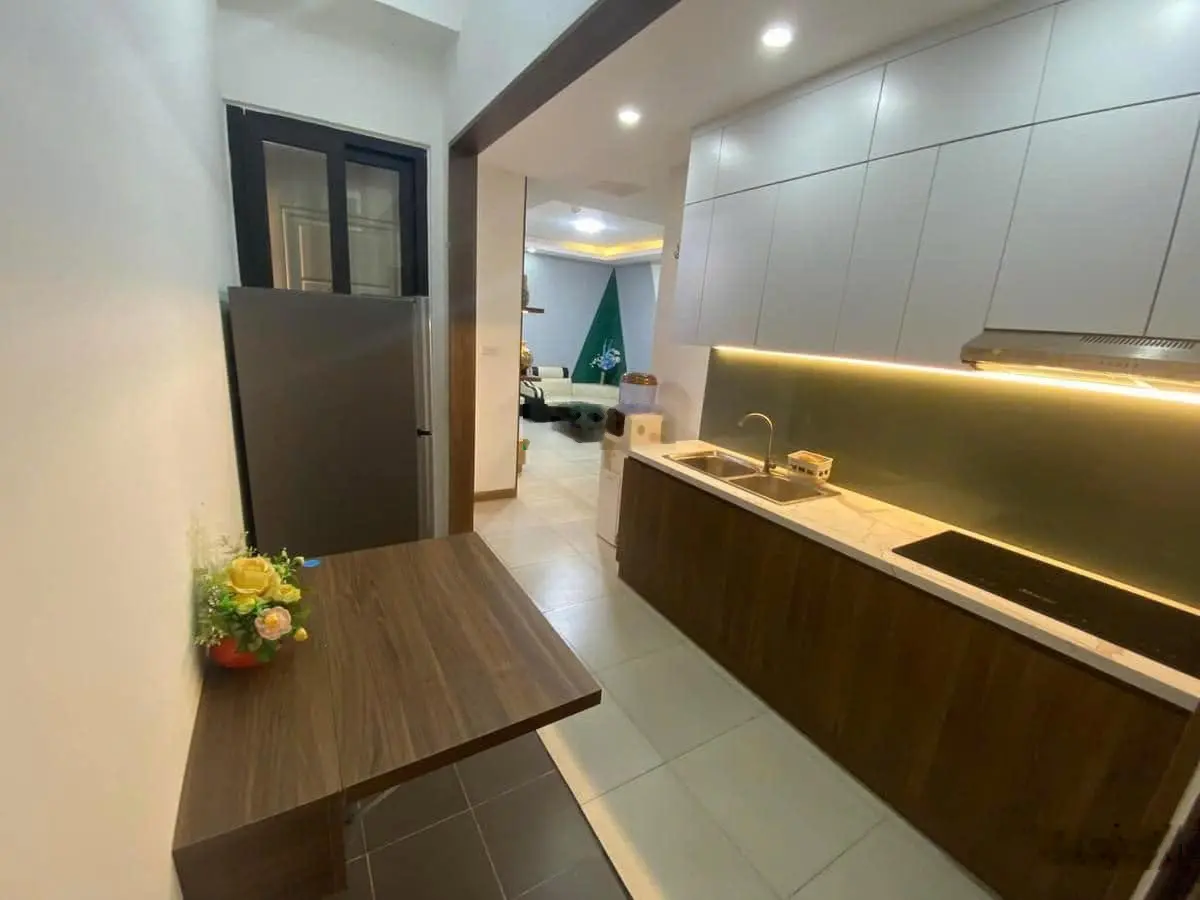 Chính chủ cần bán căn hộ 50m2 taị Ruby City3, giá nhỉnh 2 tỷ, full nội thất2N2W - nhận nhà ở ngay
