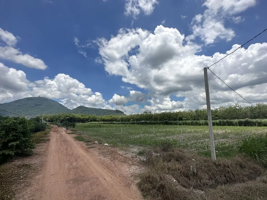 Thạnh Tân, Tp.Tây Ninh. Bán đất sào 20x52m CLN, Đường mở rộng. 850tr