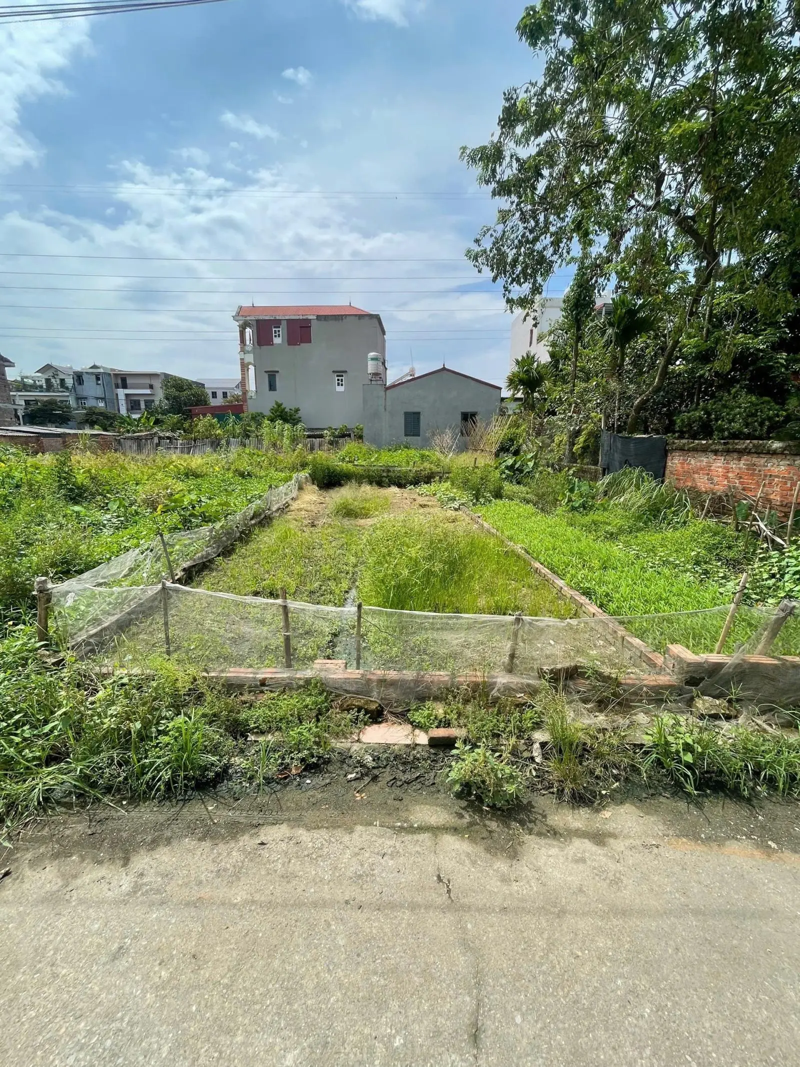 48,2m2 tại Đình Trung Xuân Nộn Đông Anh Hà Nội