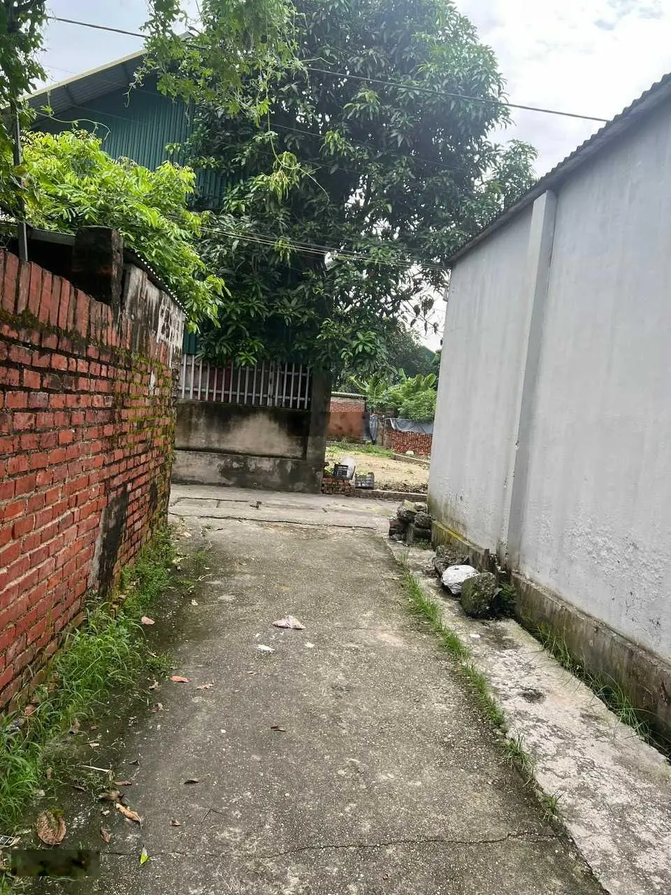 Chính chủ bán đất thổ cư Nội Phật Mai Đình Sóc Sơn, DT 582m2, LH 0988 122 ***
