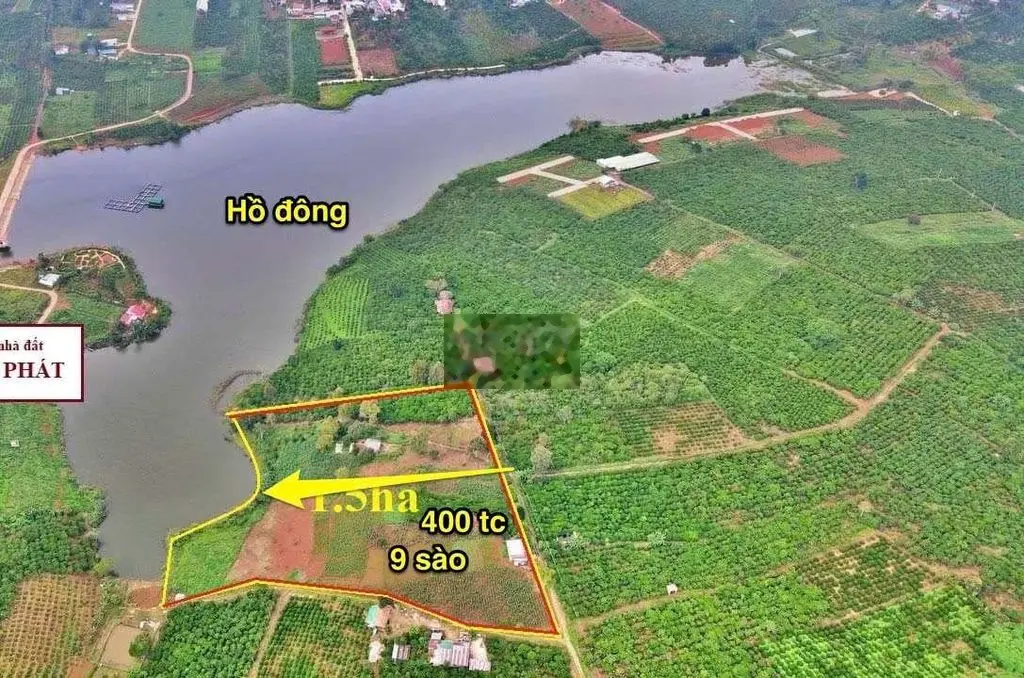 Chủ cần bán gấp