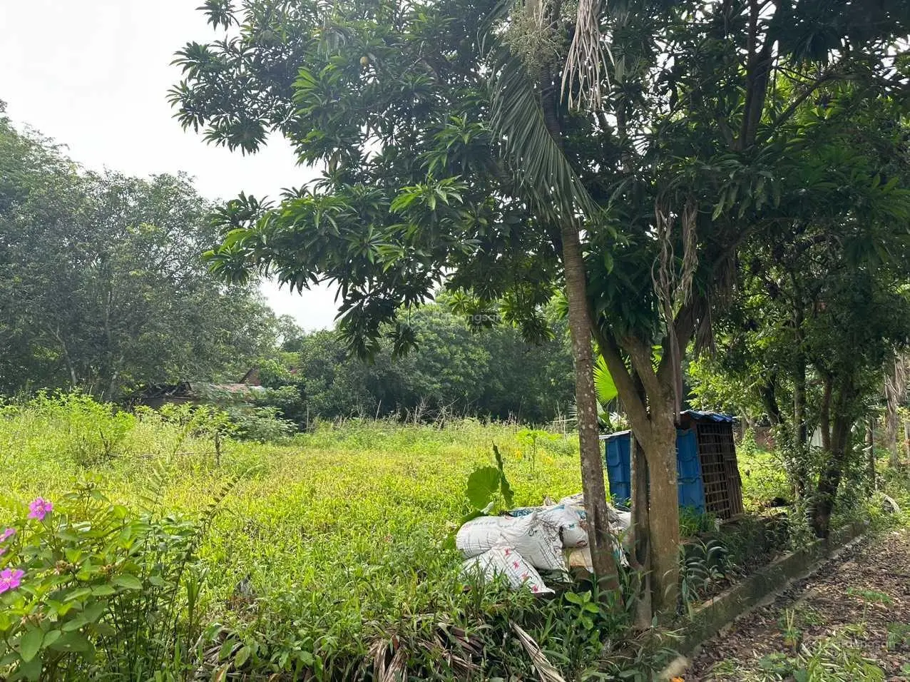 Chủ gứi bán lô góc 2 mặt tiền tại, Lập Thành - Đông Xuân - Quốc Oai - HN