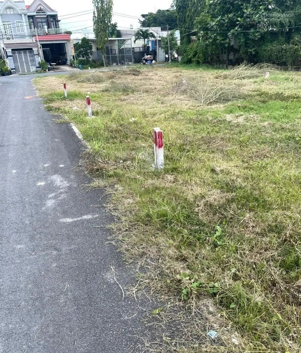 Bán nhanh lô đất 86m2, SHR, full thổ, Tân Thông Hội, Củ Chi, 1 tỷ 945