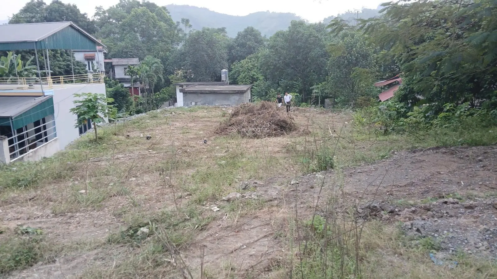 Bán GẤP, cắt lỗ 505m2 có 200m2 TC, Mặt tiền 19m, mặt đường QL 6, ở Trung Tâm Thị trấn Lương Sơn, HB