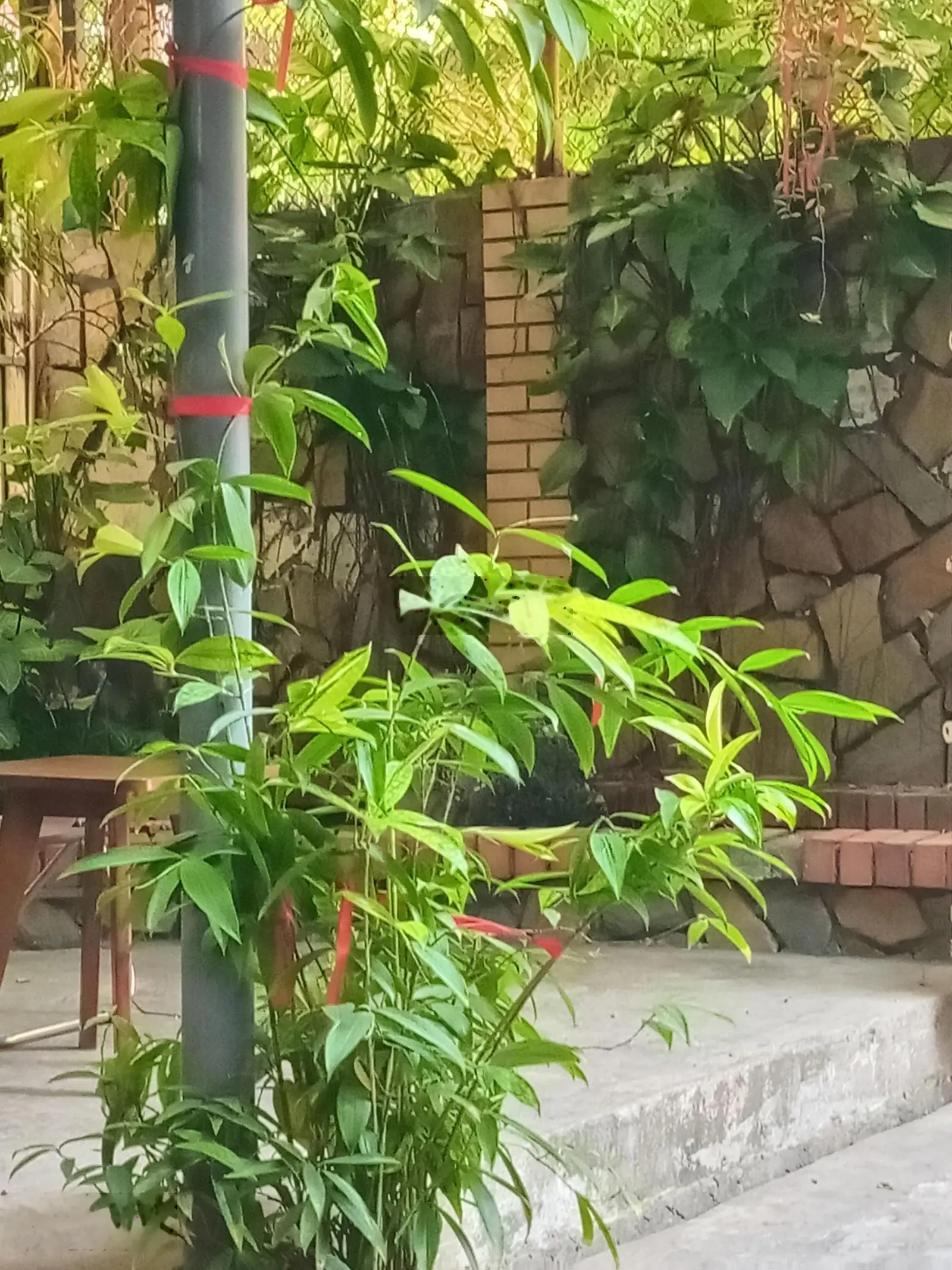 Vị trí siêu đẹp. Bán nhà 4 tầng mặt tiền Nguyễn Văn Linh. Quận Thanh Khê. Thành phố Đà Nẵng