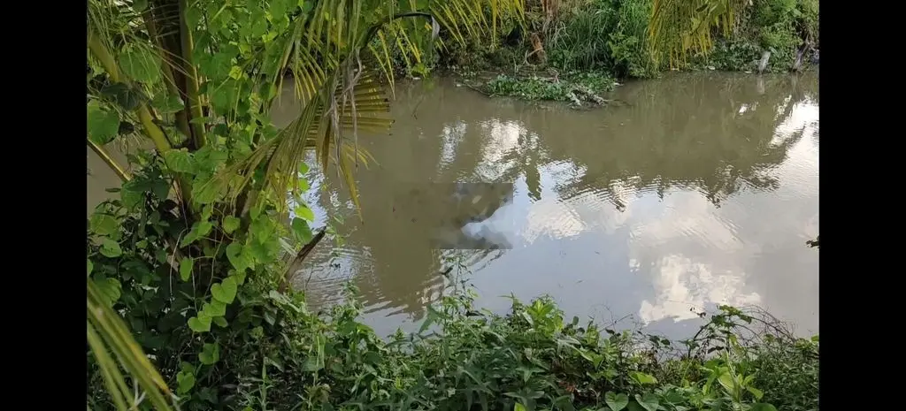 Cần bán đất Vĩnh Thạnh