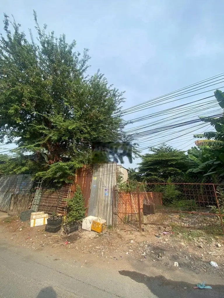 Bán ngợp Đất Phú Hoà, Thủ Dầu Một Vị Trí kinh Doanh tốt