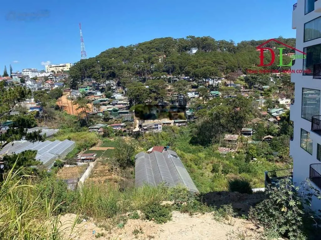 Bán lô đất 704m2 có 3 mặt tiền Đặng Thái Thân P3, Đà Lạt view thung lũng thông xanh ngay trung tâm