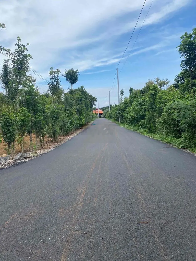 Đất vườn châu đức.