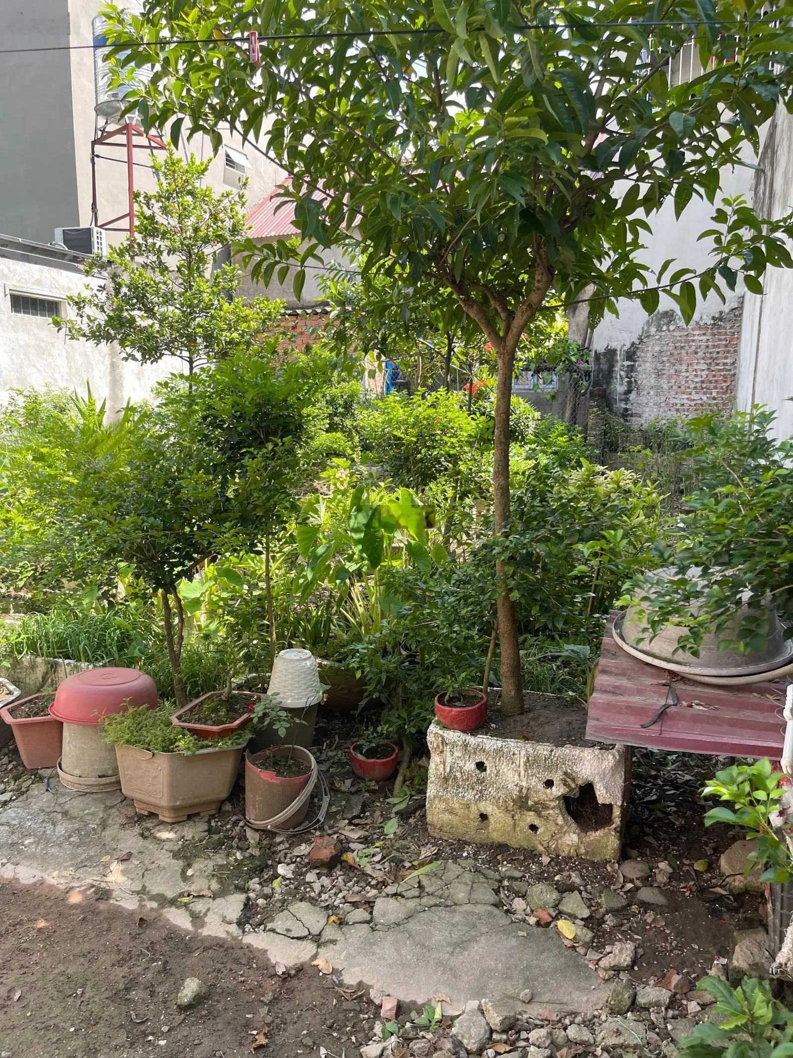 Cần bán lô đất TT Gạch DT 94m2 tài chính hơn 1 tỷ giá chỉ có 15,5tr/m2. Lô đất vuông. 0936 685 ***
