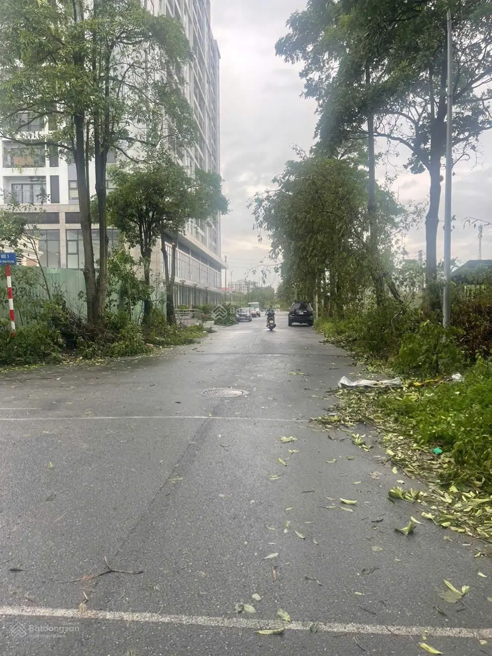 Cần bán căn biệt thự khu đô thị Việt Hưng - Khu BT- p Giang Biên - Long Biên