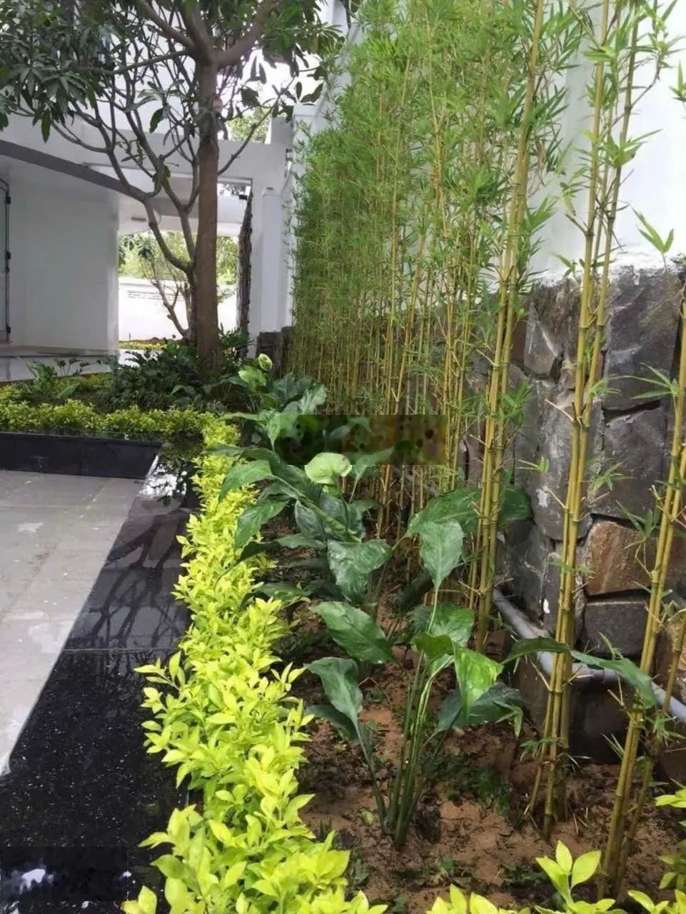 CHÍNH CHỦ gửi bán gấp căn biệt thự 412m2 tại mặt tiền NGUYỄN TẤT THÀNH phước đồng tp NHA TRANG
