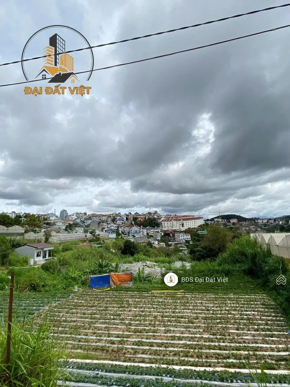 Bán khu đất xây dựng villa view thành phố triệu việt vương đà lạt - 9.3 tỷ
