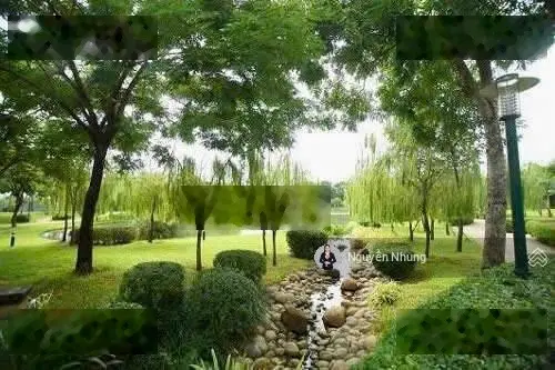 Mua Trực Tiếp CĐT - Diamond Centery CĐT cam kết thuê 6% trong 4 năm, ân hạn gốc lãi 3 năm !