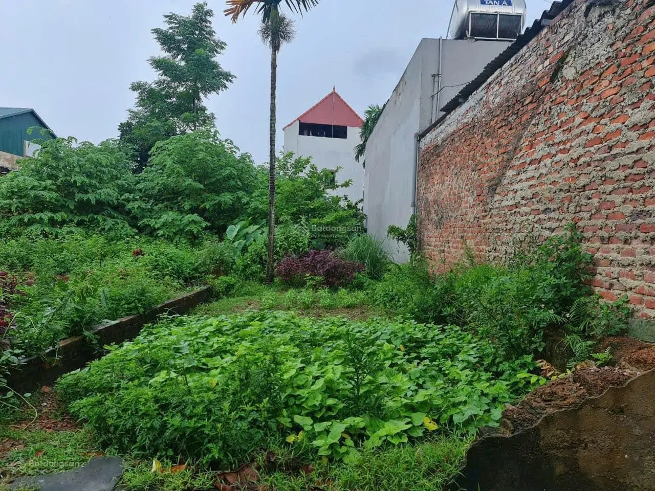 Đất Hiền Lương - Hiền Ninh siêu rẻ chỉ 9,2tr/m2