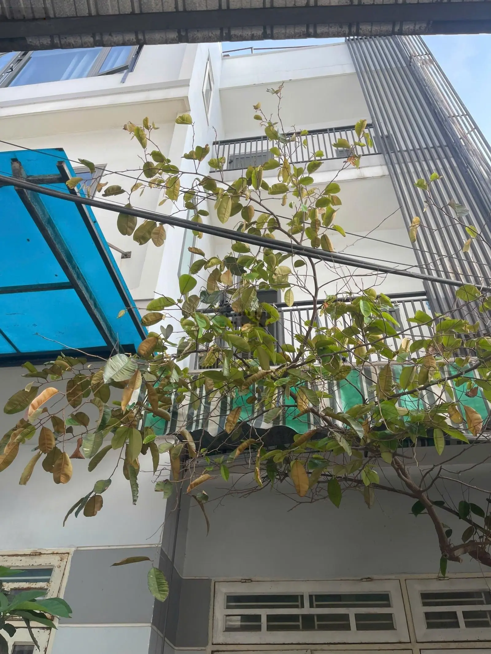 Bán .nhà 3TẦNG Dt 70m2 Kiệt ..hơi 3 .mét ..cách đường lớn .10m.. Khu vục Thọ quang sơn trà Cá