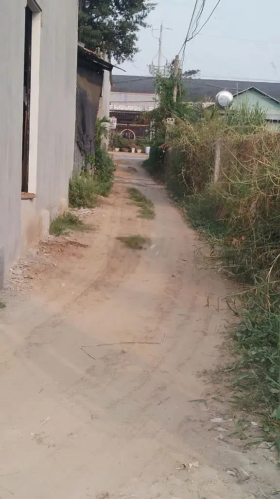 1000m2 ngang 20 dài 50 gần Cát Tường Phú Sinh