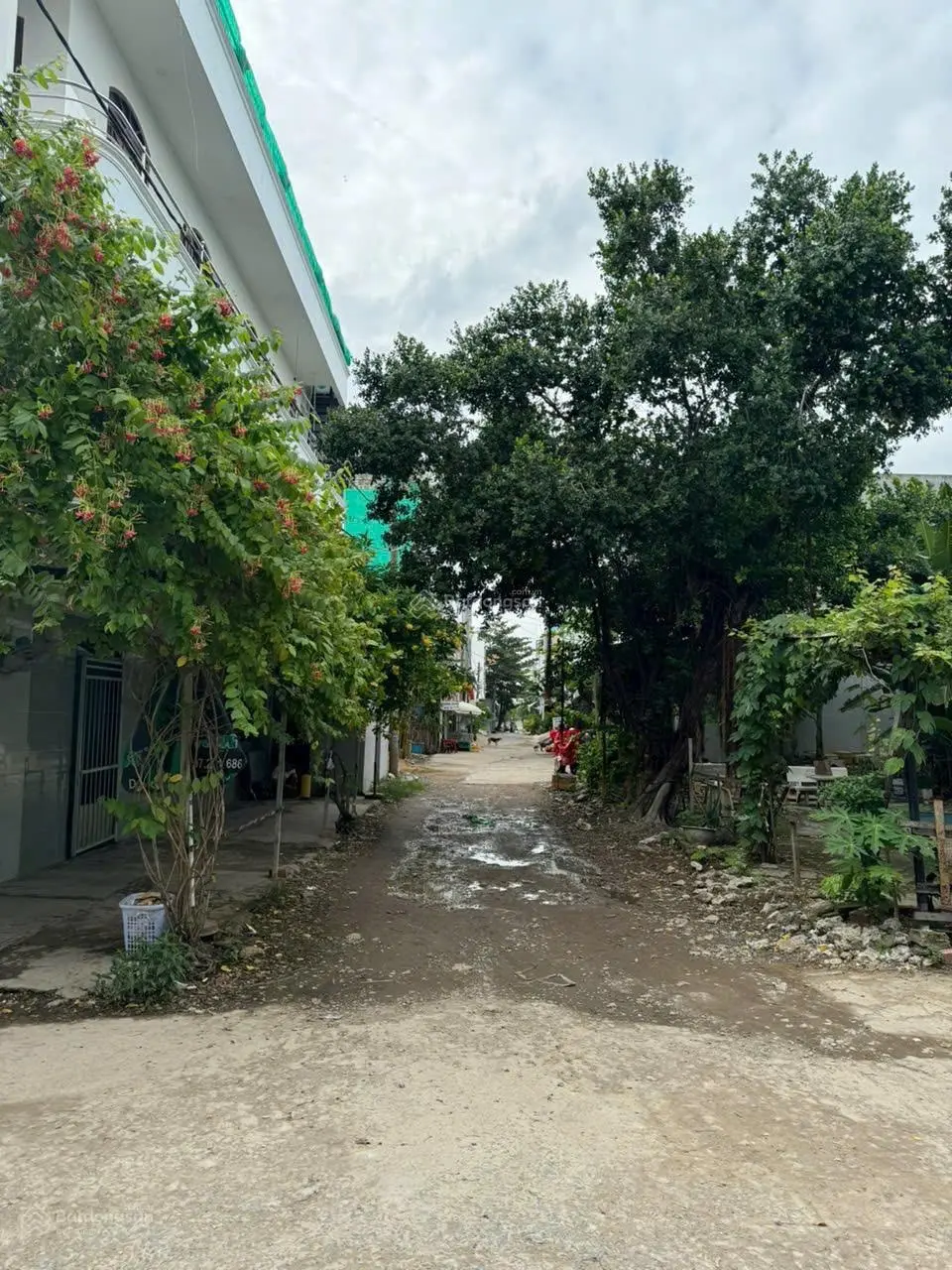 Đất góc 2 MT vị trí rất đẹp 173 An Dương Vương, P. An Lạc, Bình Tân, Đối diện Trường THCS Bình Tân
