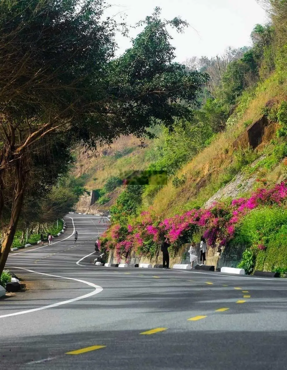 Ngôi nhà nổi tiếng: có suối chảy cạnh nhà, gần biển, dưới chân báo đảo Sơn Trà nhưngchỉ nửa triệu $