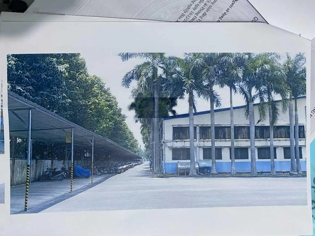 Bán nhà xưởng 11.101 m2 và 48.953 m2 trong Kcn Bàu Xéo, Trảng Bom, Đồng Nai