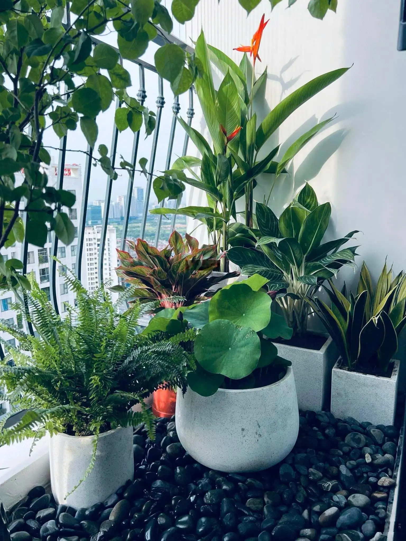 Căn hộ 2 phòng ngủ 74m2, có slot ô tô để hầm, nhà đẹp chưa sửa LH 0985 920 ***