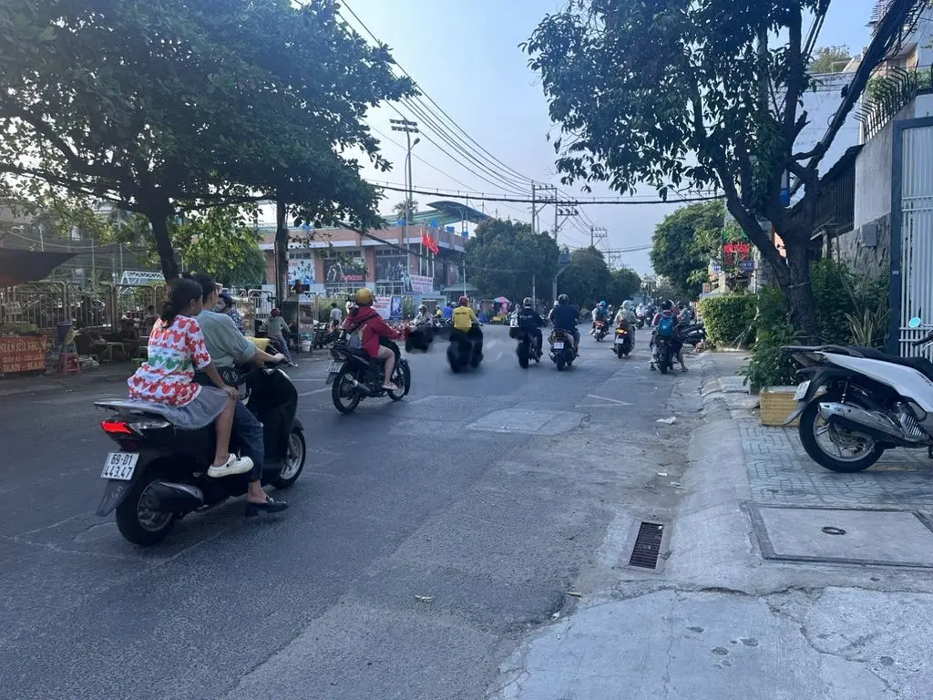 MTKD Trịnh Đình Thảo 5.6x31 , nhà cấp 4