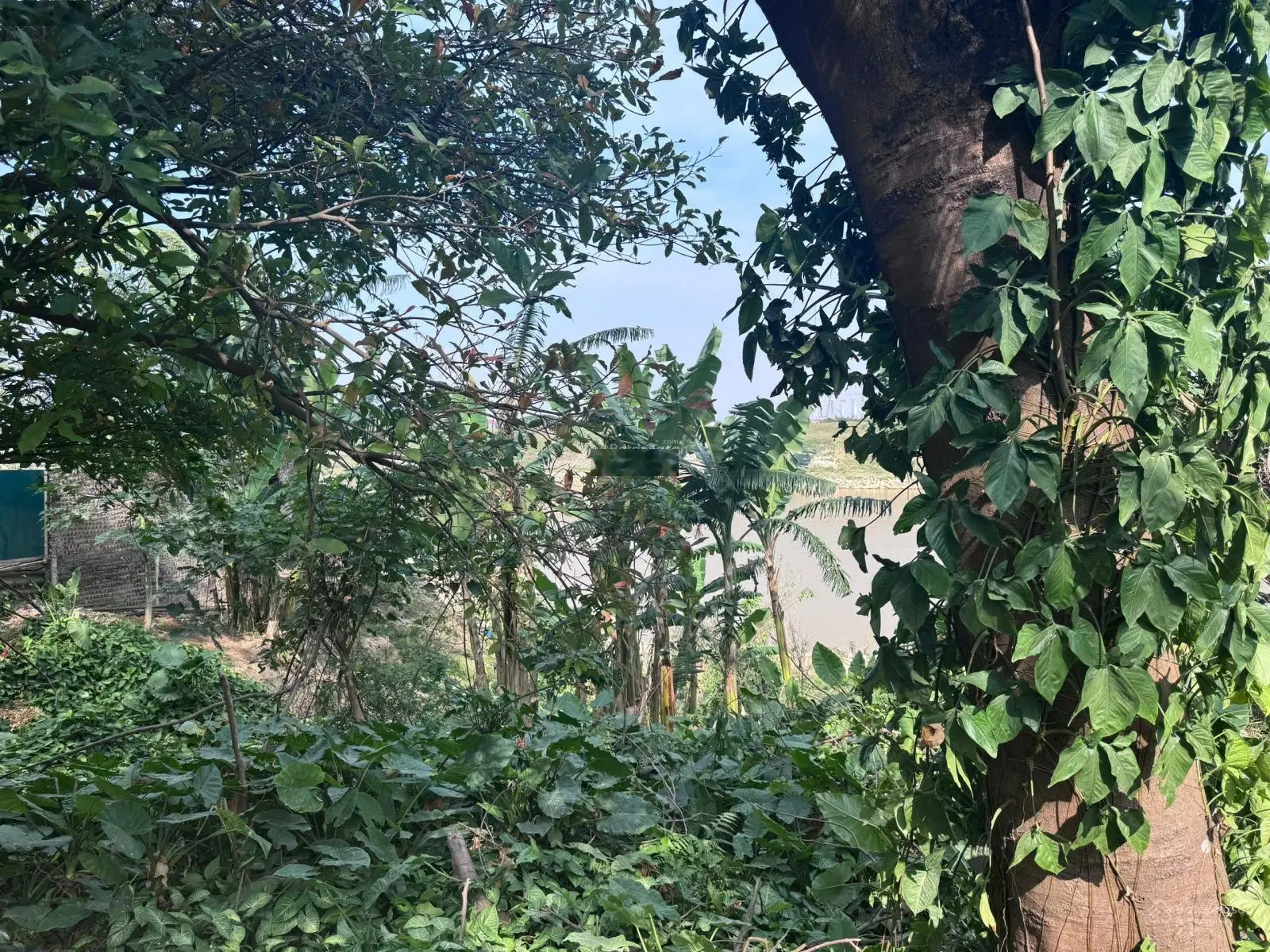 Hiếm, Long Biên, đất view sông, diện tích 637m2, 100% đất ở