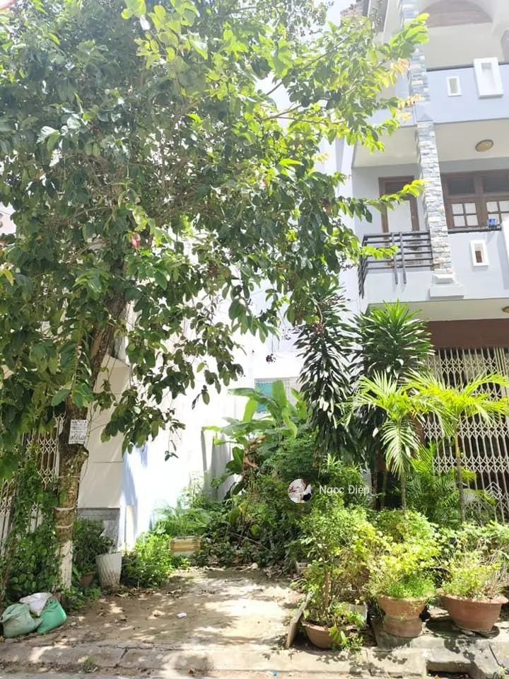 Bán gấp đất đường Phạm Thái Bường, Phường 4 gần bệnh viện ĐK Vĩnh Long, 120m2/550tr SHR, full thổ