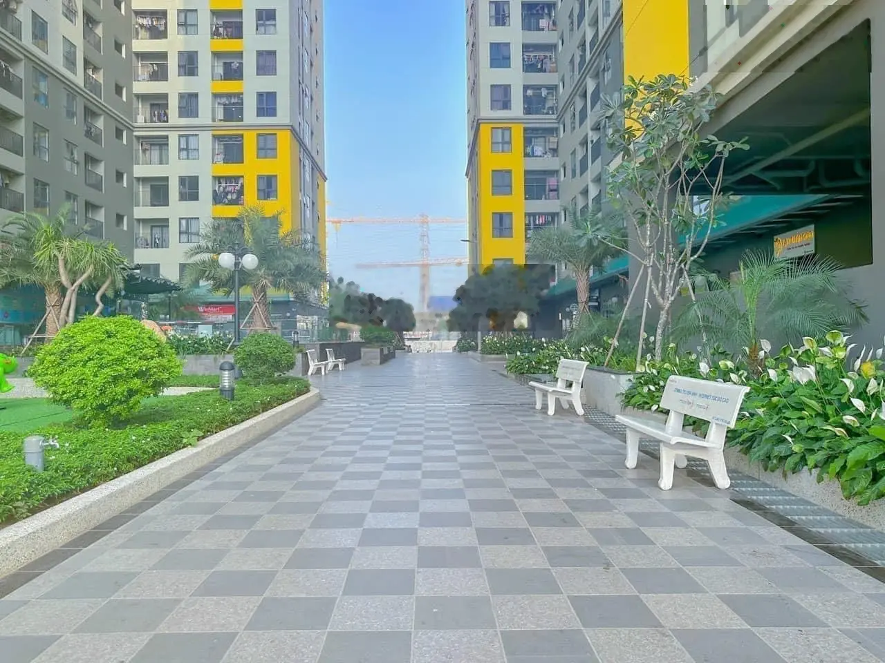 Chủ cần bán gấp căn 2PN 57m2 - Bcons Plaza. Giá cực rẻ chỉ 1ty8 trọn sổ, chủ lỗ gần 100tr. Đã có sổ