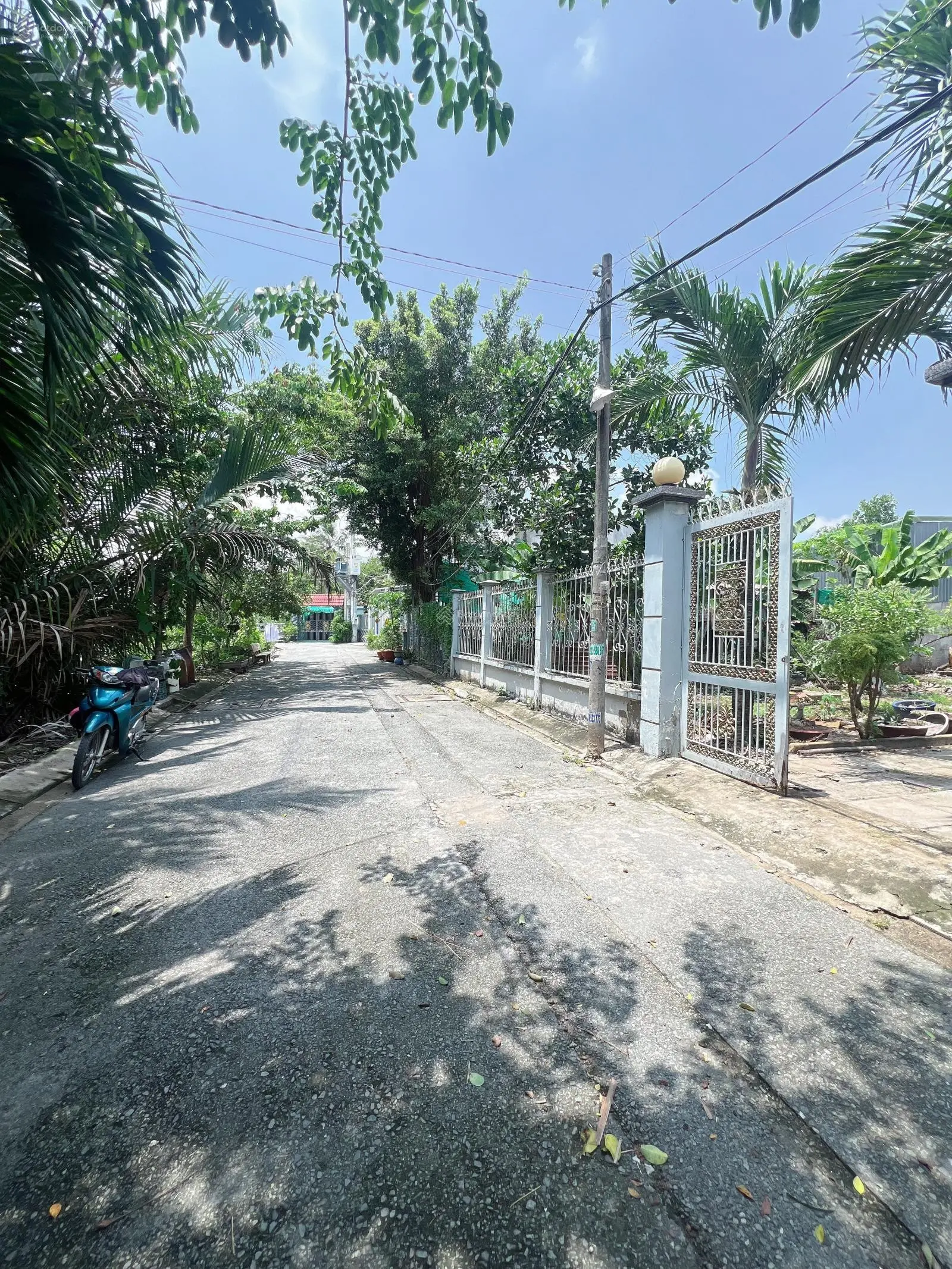 Bán Nhà Biệt Thự Vườn 622m có 551m2 Thổ, Đường Lê Văn Lương, Nhà Bè 17m x 36,6m Nhỉnh 13 Tỷ.