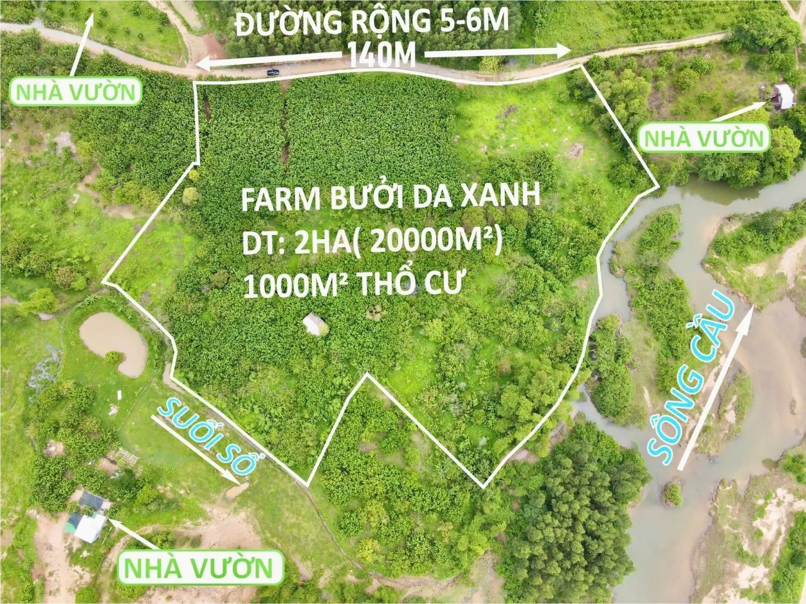 Cần bán vườn bưởi 2ha (20.000m2) có 1000m2 đất ONT - xã Sông Cầu - giá tốt