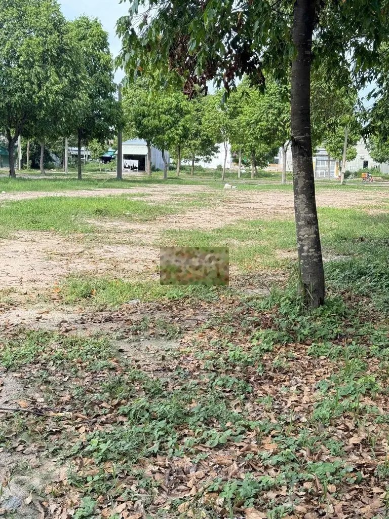 Cần bán lô đất sổ sẵn ngay trung tâm hành chính Bàu Bàng có việc nhà.