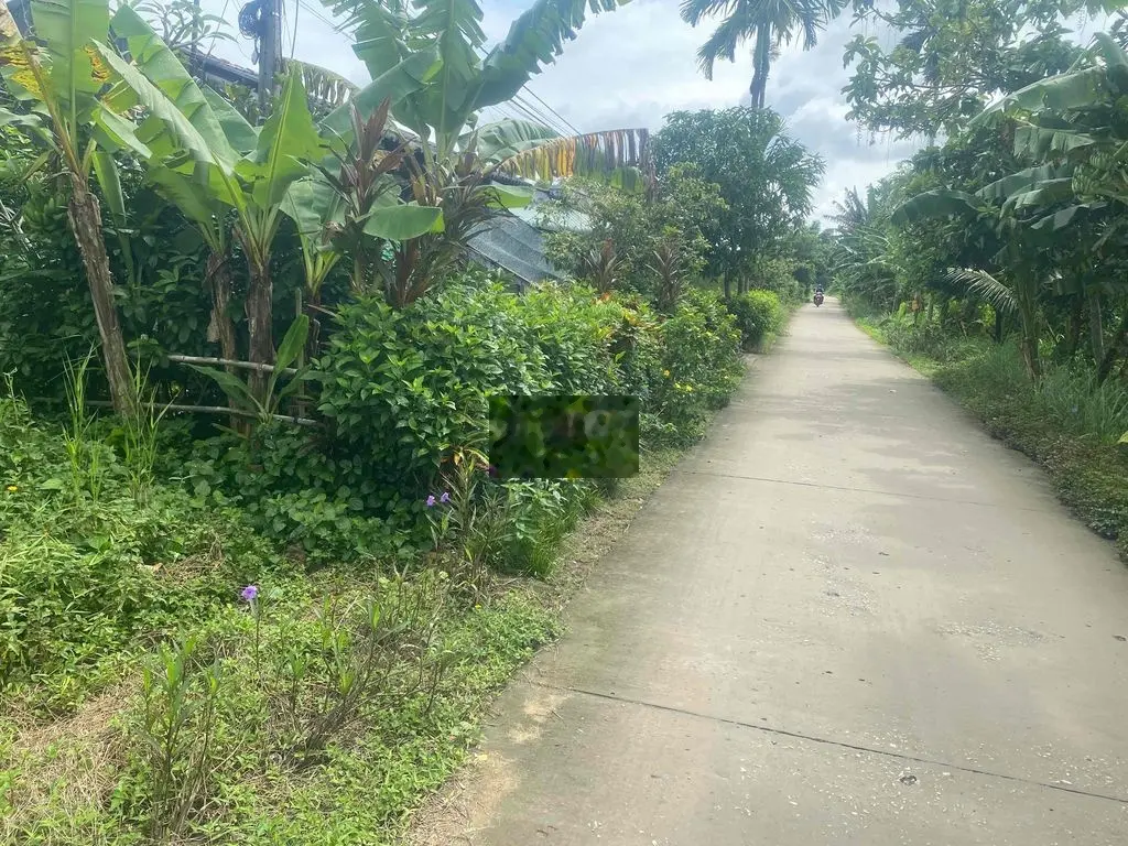 cần bán
