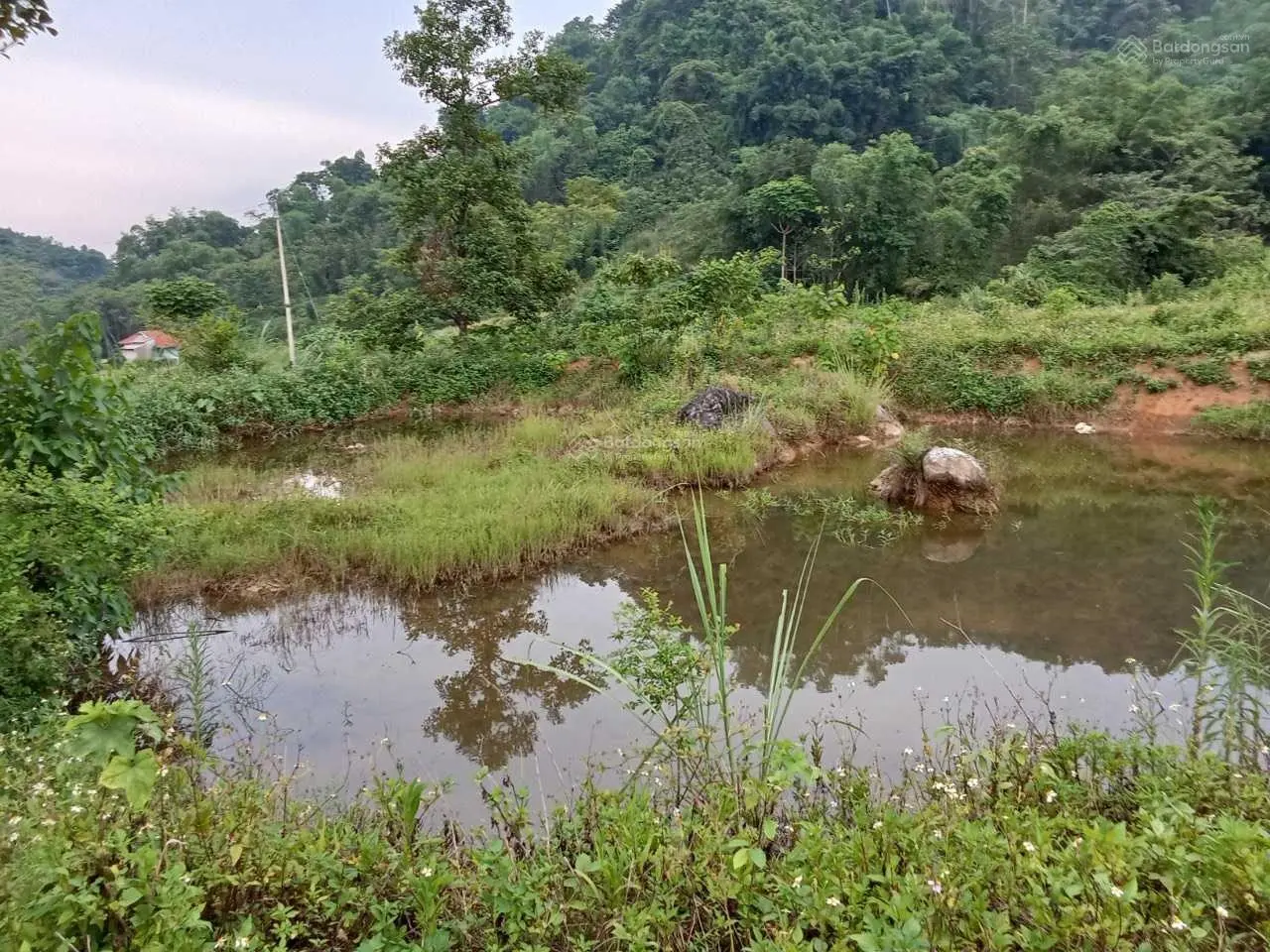Cần bán mảnh đất tại thị trấn Đà Bắc, Hòa Bình. Diện tích 28000m2, giá 1,85 tỷ