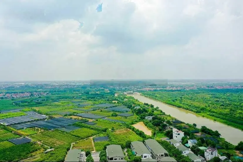 Siêu hot! Hàng hiếm giá thơm nhất phân khúc cc cao cấp, tiền nhỏ nhưng hưởng ngàn xanh sinh thái