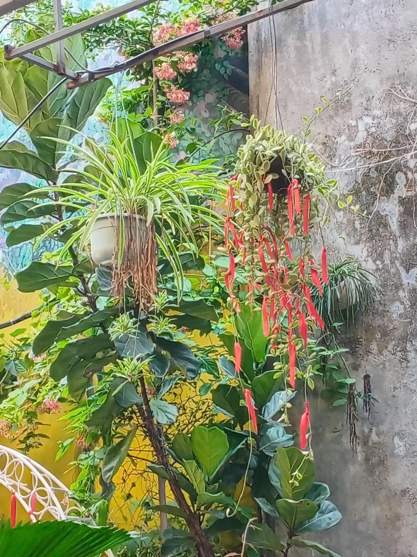 Vị trí siêu đẹp. Bán nhà 4 tầng mặt tiền Nguyễn Văn Linh. Quận Thanh Khê. Thành phố Đà Nẵng