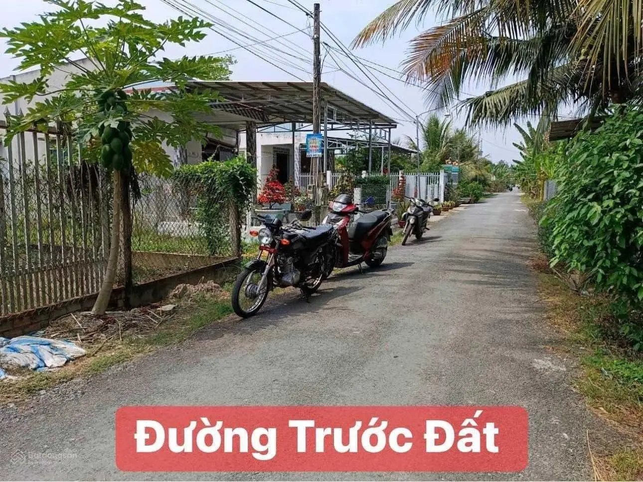 Bán Đất nền lô góc mặt tiền Nguyễn Thị Định, xã Phú Hưng Bến Tre Diện tích 359.5 m2 (75m2 thổ cư)
