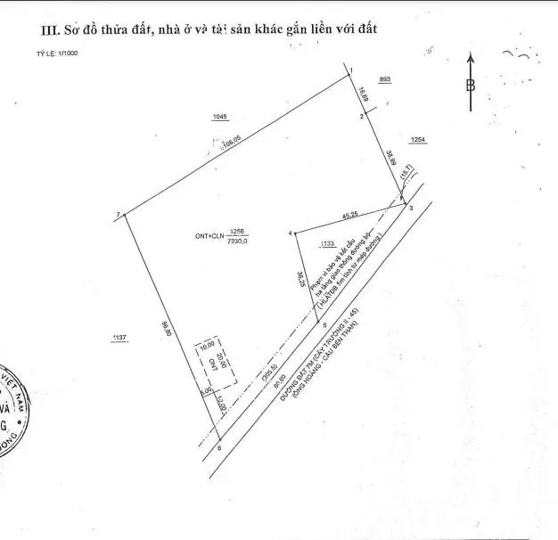 (Phát Mại) 7.230m2 Đất đường 6m - xã Cây Trường II, huyện Bàu Bàng