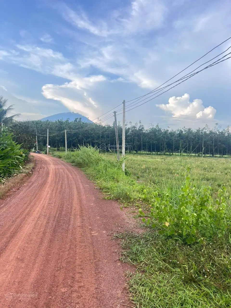 Bán đất 5000m2, tại xã phan, dương minh châu, Tây ninh