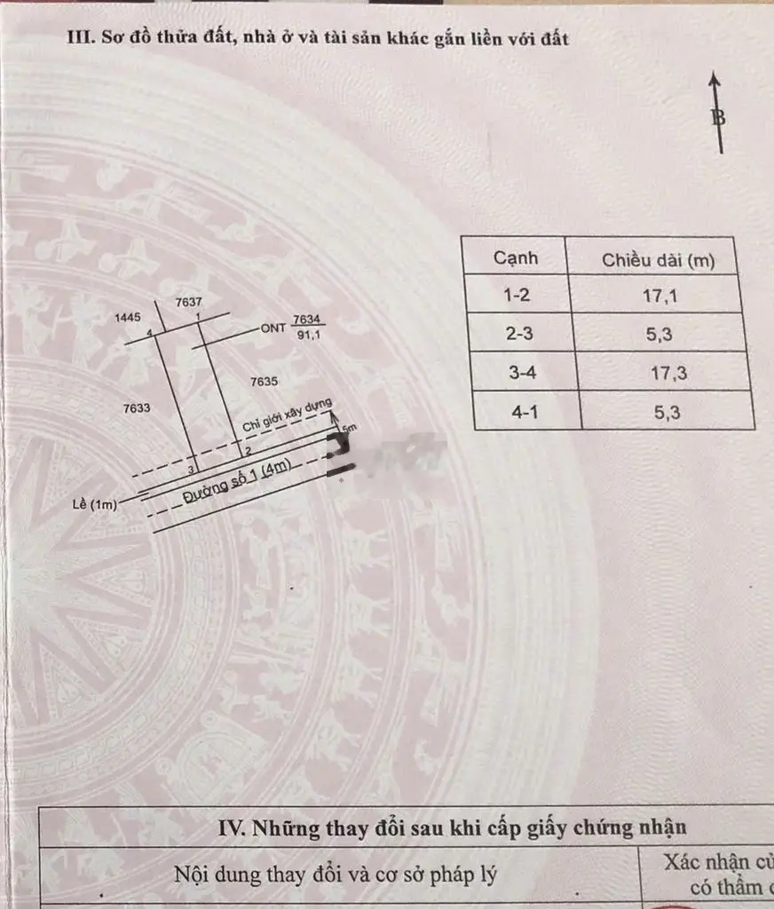 Lô đất 91m2 Phước Lâm Cần Giuộc Long An